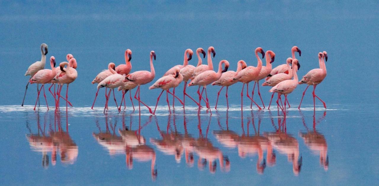 Вилла Sa Domu Куарту-Сант'Элена Экстерьер фото